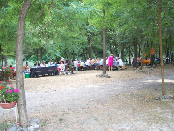  Image name: Parco11.jpg 
 width: 600 pixel 
 height: 451 pixel 
 Size: 296241 bytes 
 Click to enlarge 